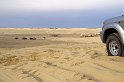 tun_j3-10 065 zoom